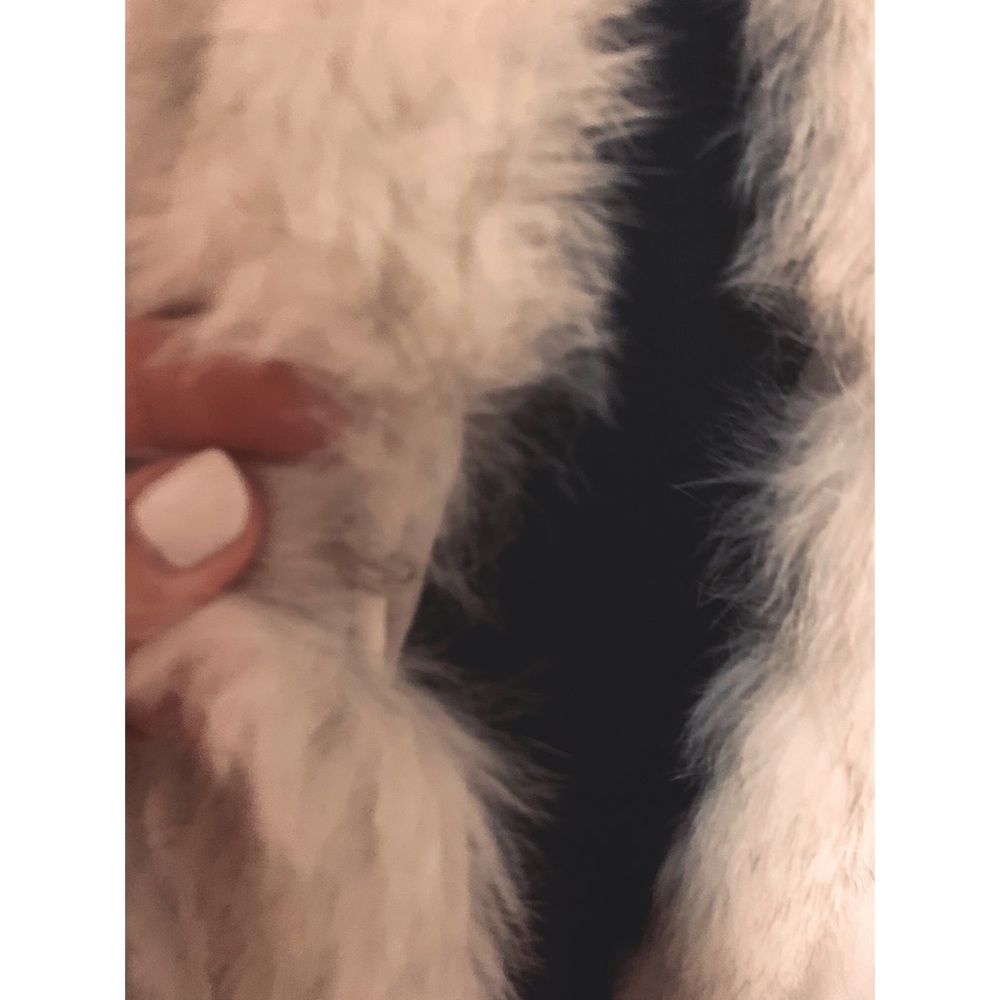 Cream Faux Fur Jacket - Women's Cozy Coat - Picture 4 of 12